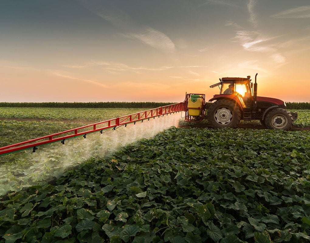 farmer in a field tending to his crops